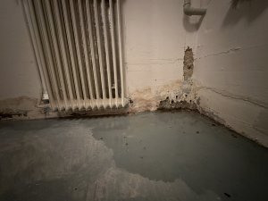 IMG_2668.JPG
