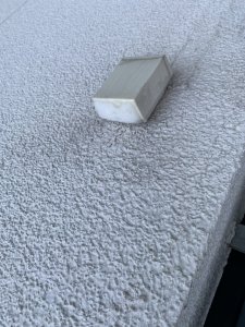 IMG_1105.jpeg