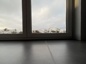 IMG_0456.jpeg
