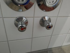 20231130_193253.jpg