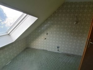 IMG_20220712_193400.jpg