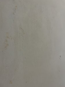 7ED64E85-A8D0-42E8-B69E-B85D109C9246.jpeg