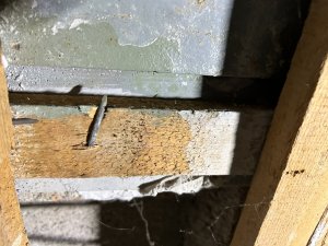 IMG_5282.jpeg