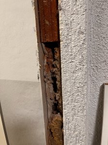 IMG_5368 - Kopie.JPG