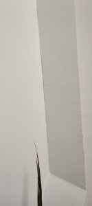 IMG_20231203_184212876.jpg