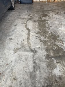 IMG_0369.jpeg