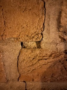 IMG_0437.jpeg
