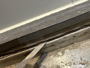 IMG_0966.jpeg