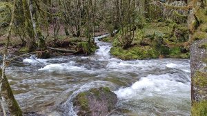 IMG_20231210_124644995_HDR.jpg