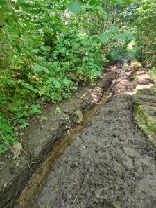 IMG_20230627_181338290_HDR.jpg