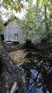 IMG_20231021_082155614.jpg