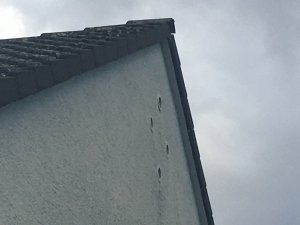 IMG_7293.JPG