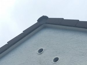 IMG_7295.JPG