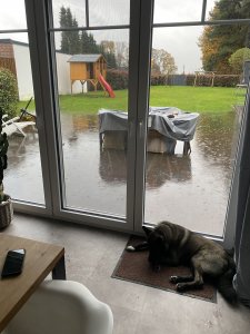 IMG_5997.jpeg