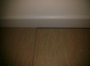 CAM00336.jpg