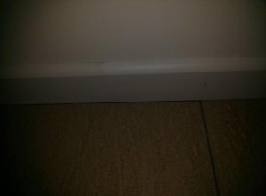 CAM00337.jpg