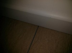CAM00338.jpg