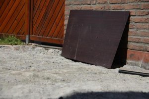 IMG_1054.jpg