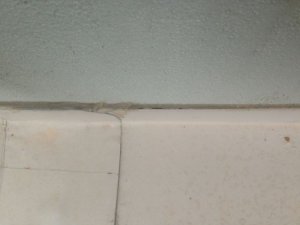 IMG_0666.jpg