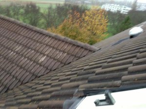 Blick nach Norden.jpg