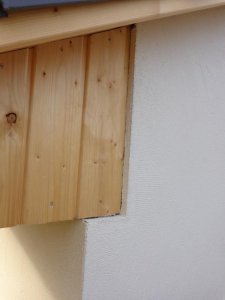 DSC00425.jpg