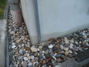 DSCN5420.jpg
