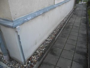 DSCN5419.jpg
