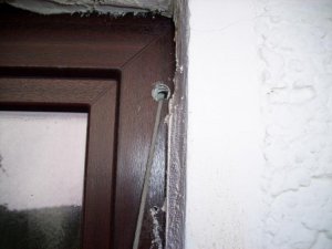100_0625.jpg