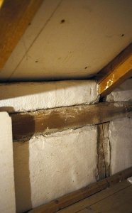 IMG_1578.jpg