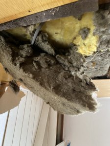IMG_3845.jpeg