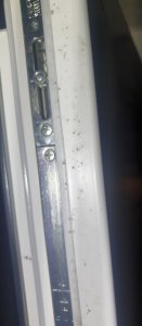 IMG-20231207-WA0029.jpeg