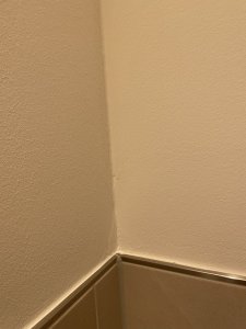 IMG_9548.JPG