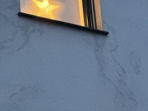 IMG_4813.jpeg
