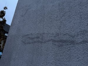 IMG_4820.jpeg