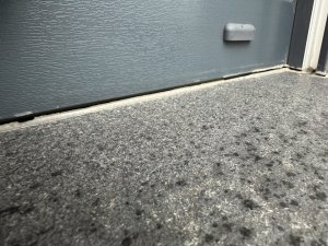 IMG_4841.jpeg