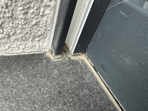 IMG_4844.jpeg