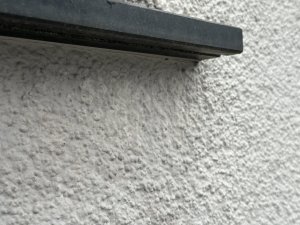 IMG_4838.jpeg