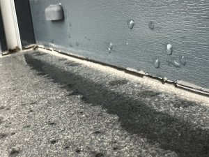 IMG_4837.jpeg