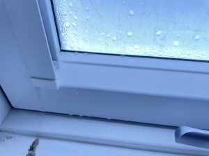 IMG_1522.jpeg