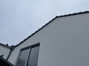 IMG_1764.jpeg