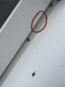 IMG_1765.jpeg