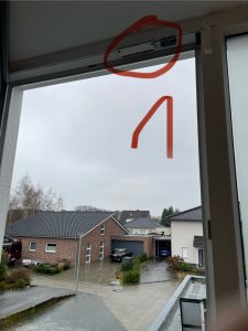 IMG_1775.jpeg