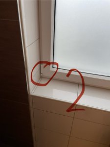 IMG_1776.jpeg