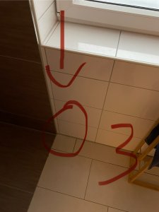 IMG_1777.jpeg