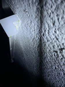 IMG_1781.jpeg