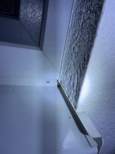 IMG_1779.jpeg