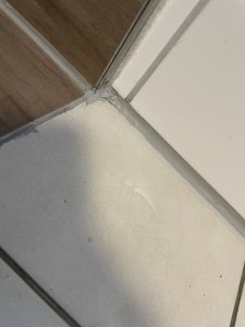 IMG_1756.jpeg