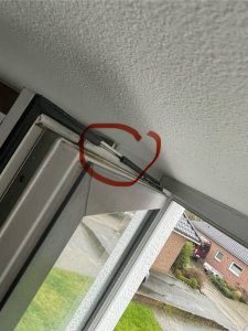 IMG_1787.jpeg