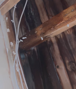 Bildschirmfoto 2023-12-24 um 18.19.17.png