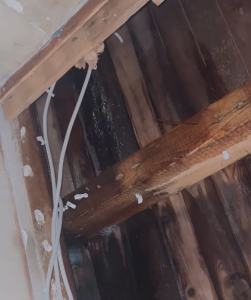 Bildschirmfoto 2023-12-24 um 18.19.25.png